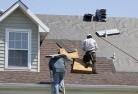 Elphinstoneskylights-2.jpg; ?>